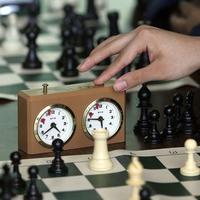 Соревнования по шахматам "Шахматная семья"