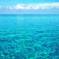 море